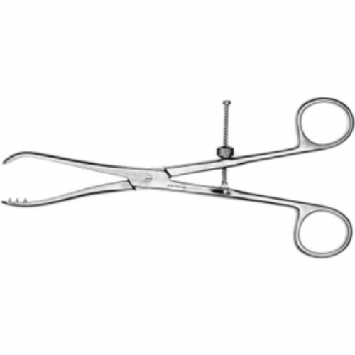 HOLD-FORCEPS F/TIB-EDGE FRAGM