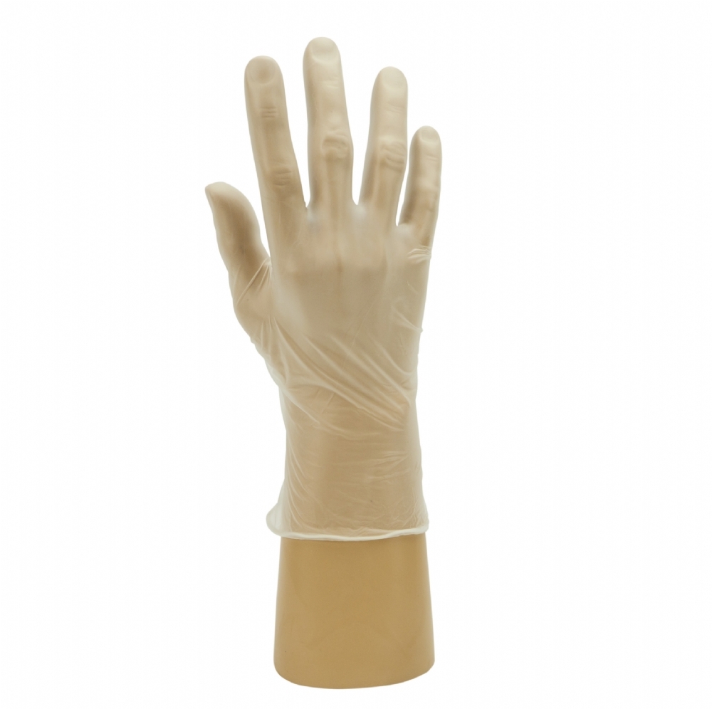 Polyco Healthline GN65 Hand Safe Powder-Free Vinyl Disposable Gloves – Latex Free Hygiene PPE