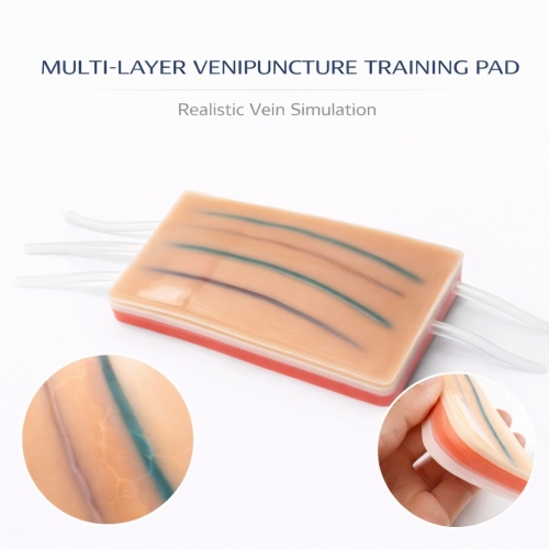 Venipuncture IV Injection Training Pad – Phlebotomy & IV Cannulation Practice Model