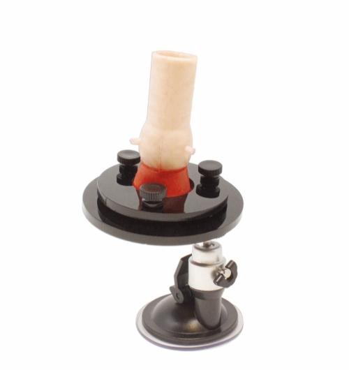 Bicuspid Aortic Valve Model | Cardiac Surgery Training Simulator