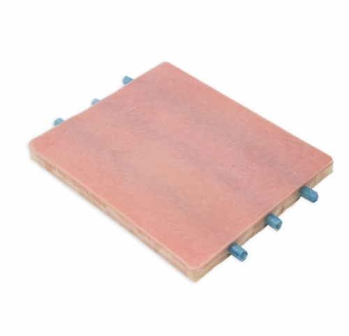 Embedded Veins Venipuncture Model | Venipuncture Training Simulator