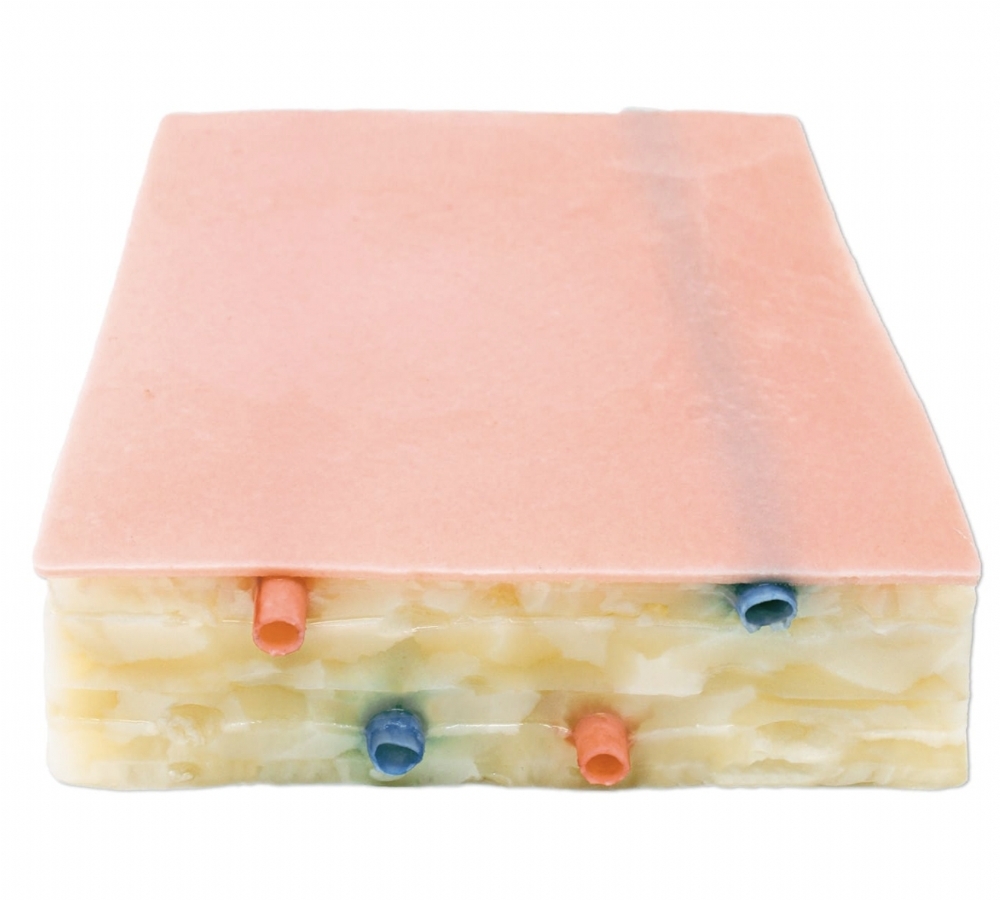 Embedded Biopsy Pad Model | Ultrasound & Surgical Biopsy Training Simulator