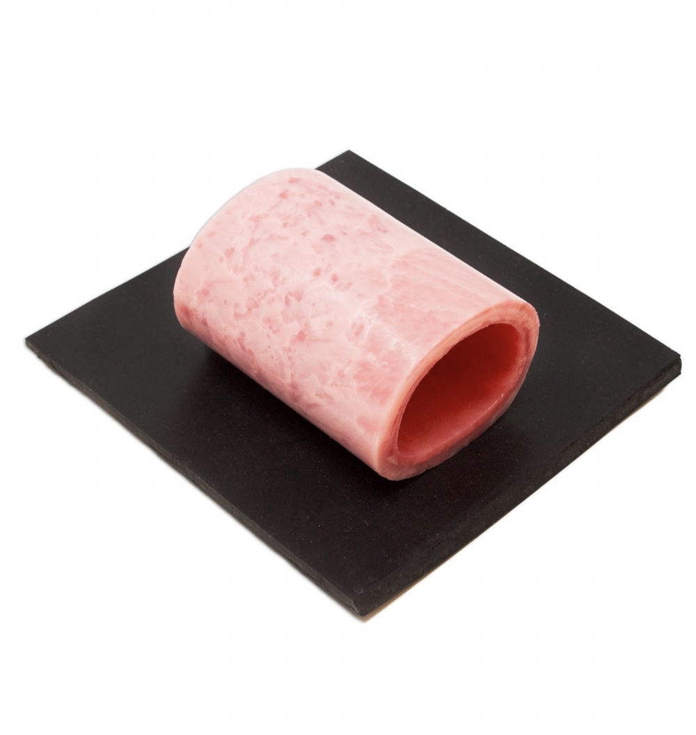 OB GYN Surgery Sample Pack | Gynecological Surgical Training Kit