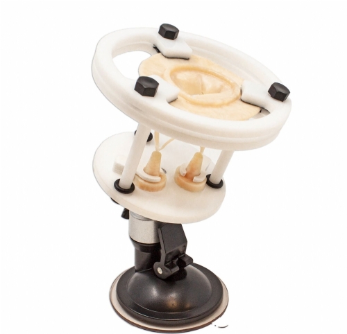 Mitral Valve Base | Cardiac Surgery Training Valve Holder